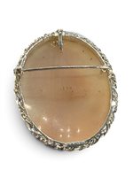 Broche Mandile 1922 Mujer Cammei  in Plata Conchiglia 2MSPCM189 - 2MSPCM189